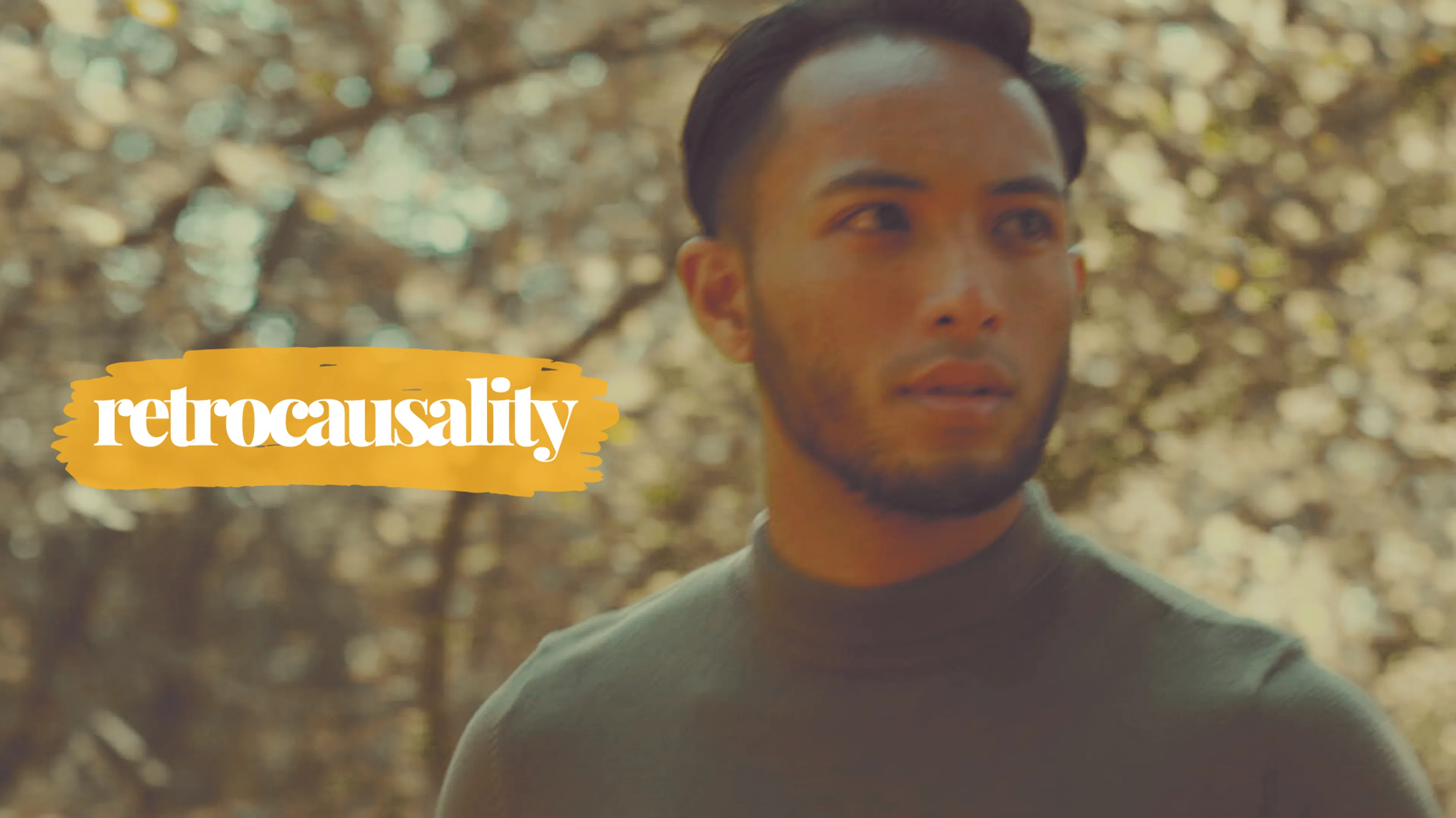 Retrocausality poster